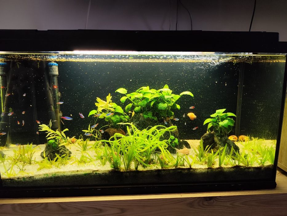 Acvariu 120 litri