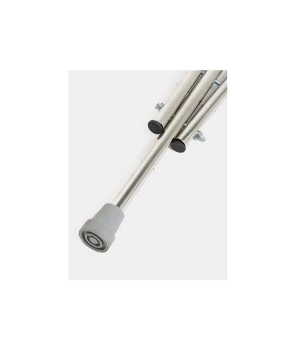 Hassa tayoq yoki qultiq tayoq