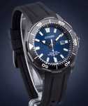 Vand Citizen Promaster titanium diver