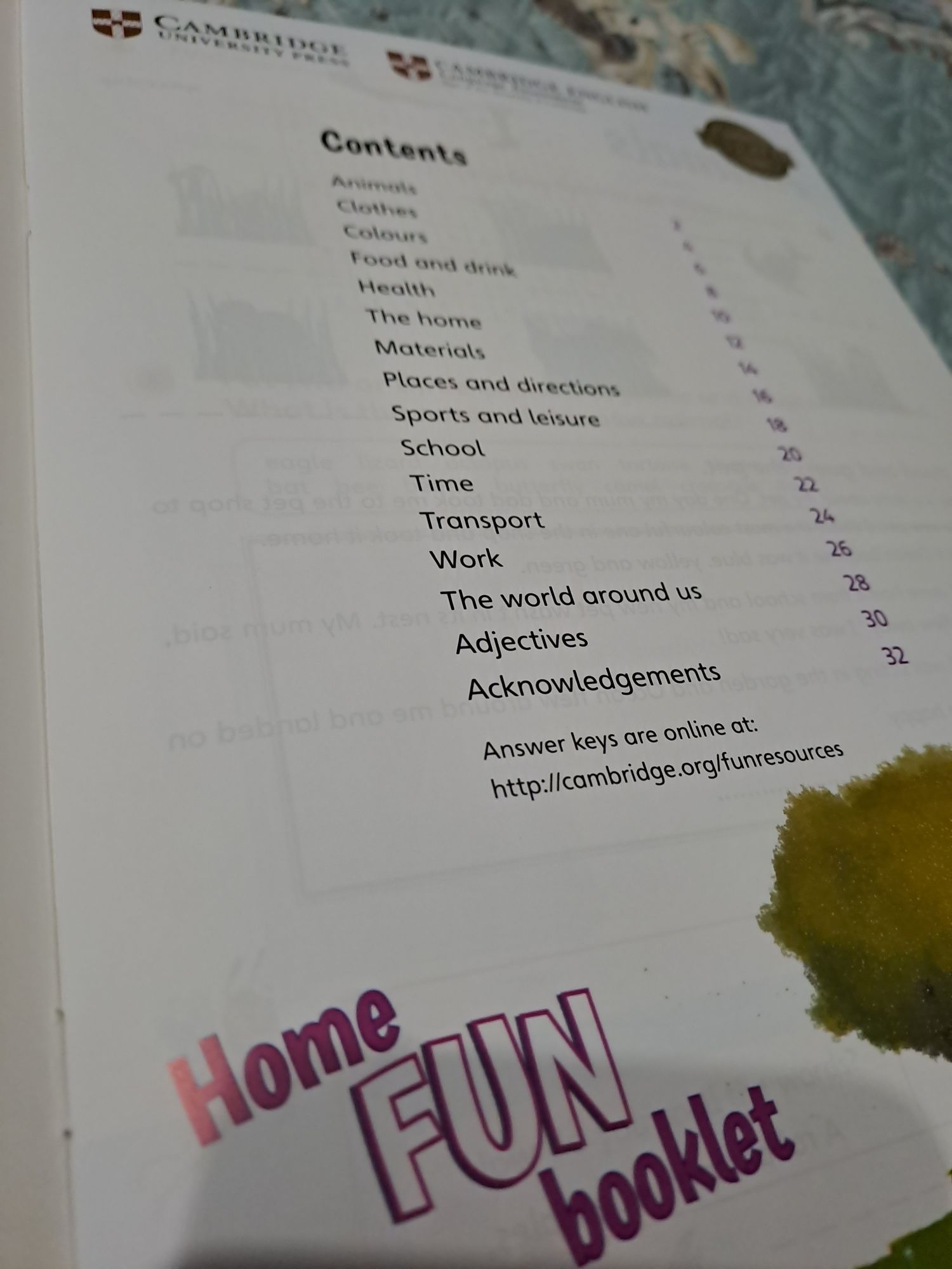 Manual engleza Cambridge Home FUN booklet