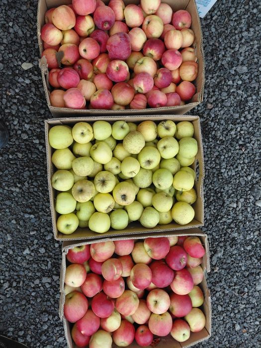 Vand mere calitatea 1