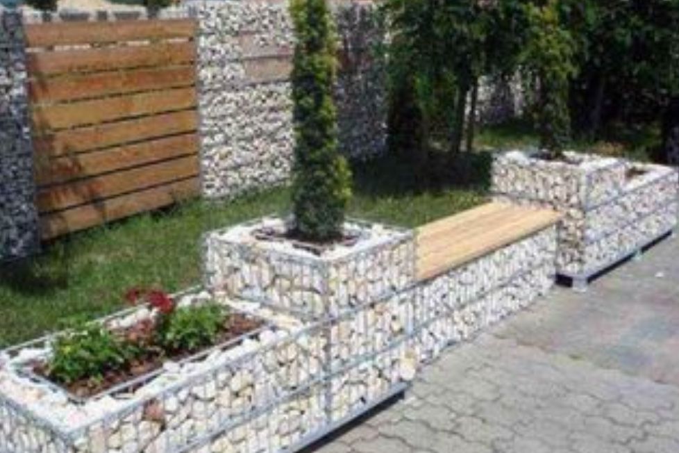 Plante ornamentale.tuia,forme,specialitati.gazon.piatra