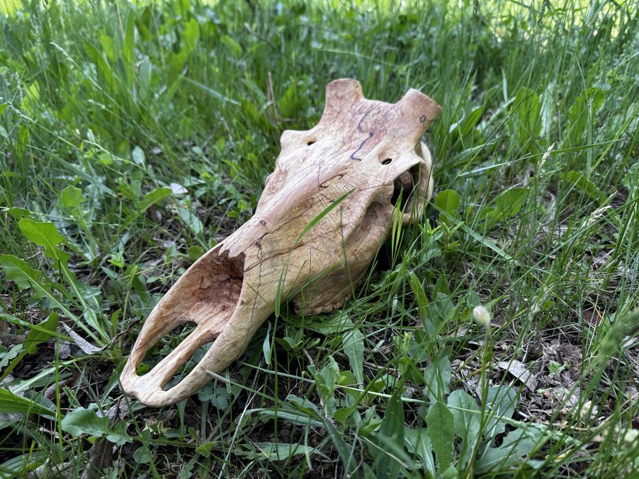 Дървен череп на благороден елен,дърворезба,трофей,лов,Blaser,Chevalier