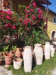 Vase ceramica  ghivece, amfore  .. citiți anuntul