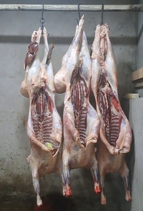 Qassoblik xizmati bor bemalol aloqaga chiqila
