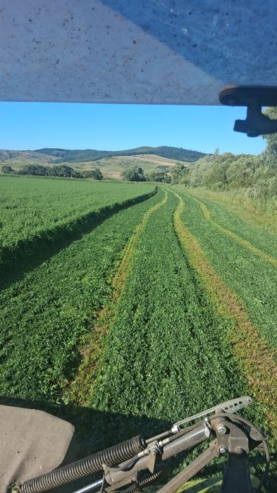 Baloti lucerna  si fân calitate premium