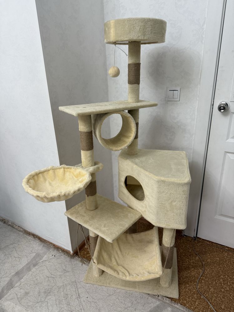 Дом для кошачьих (кошек)