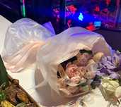 Продам цветы очень красивая