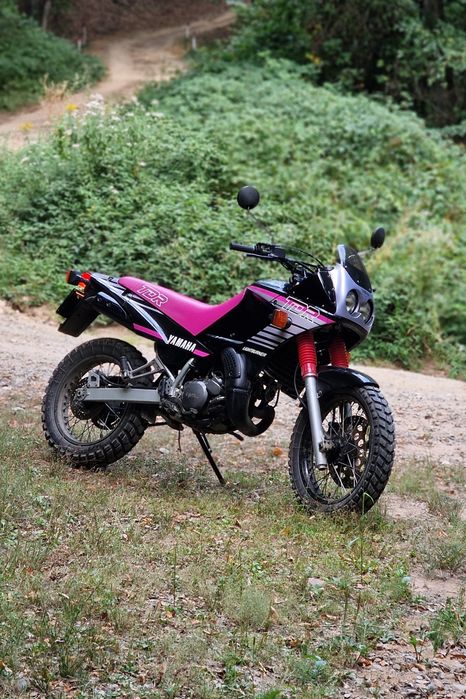 Yamaha TDR 125 power valve