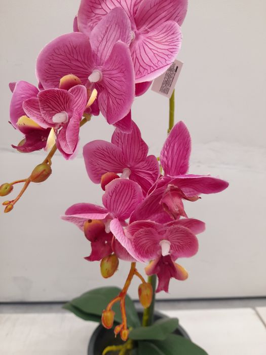 Orhidee roz, decorațiune artificială