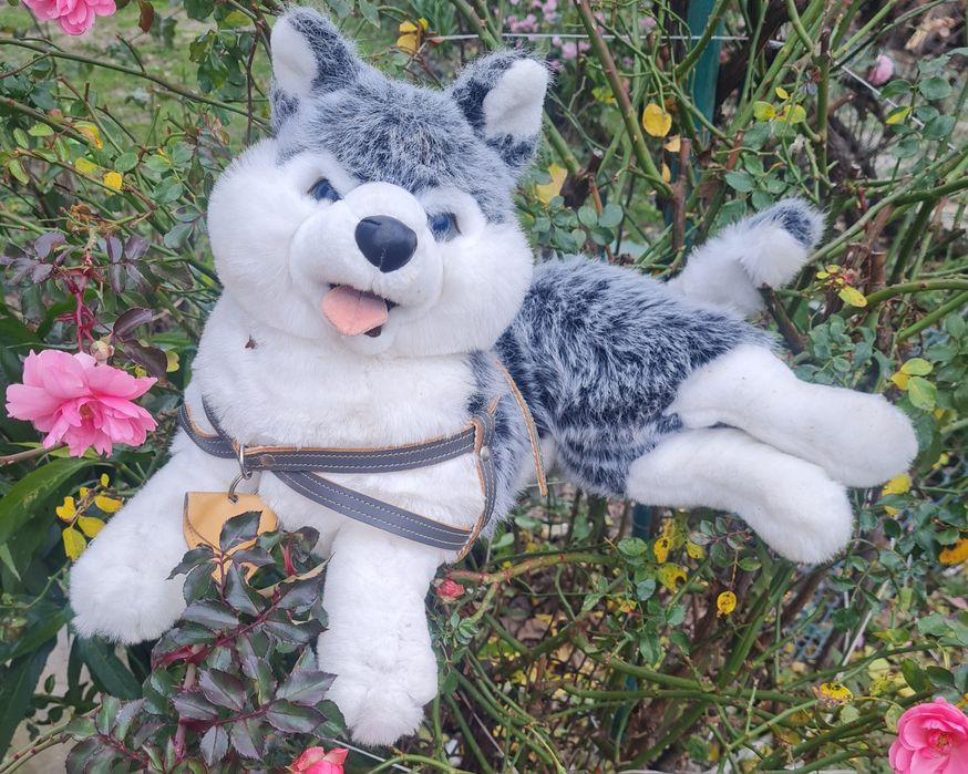 Играчки 10 лв.бр