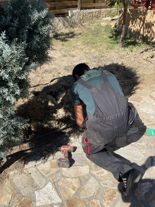 Gazon rulou supersport