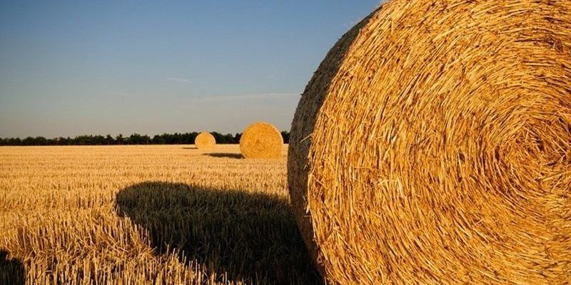 Рулонни бали от ечемик