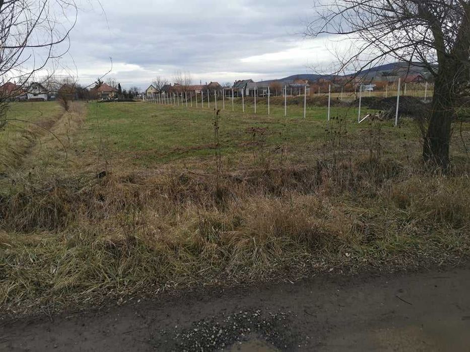 Teren intravilan , Ernei