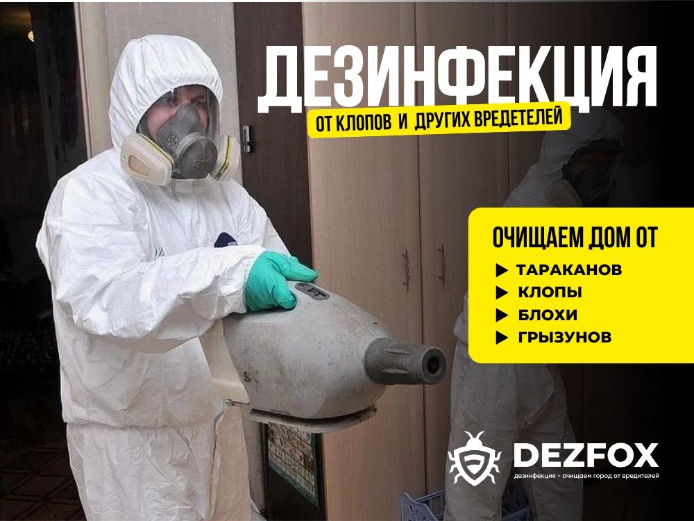 Дезинфекция Уничтожение Клопов Таракан Мышей БЕЗОПАСНО Санобработка