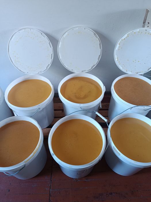 Продам мед со своей пасеки