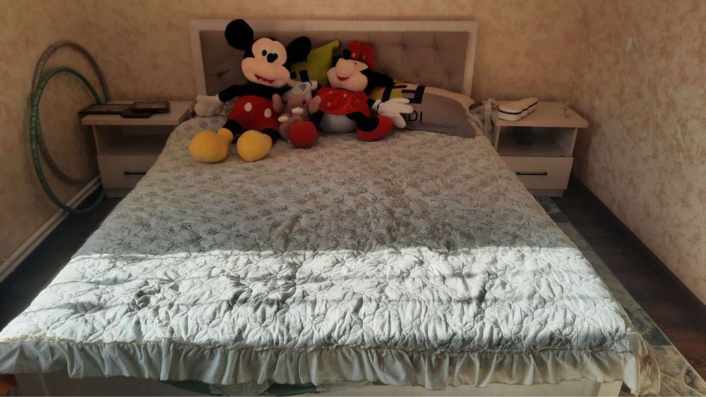 Продается дом с мебелью