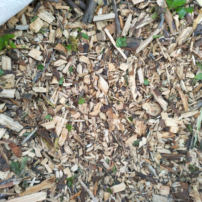 Tocător crengi, debitare busteni cosire/ defrisare/ curatare teren