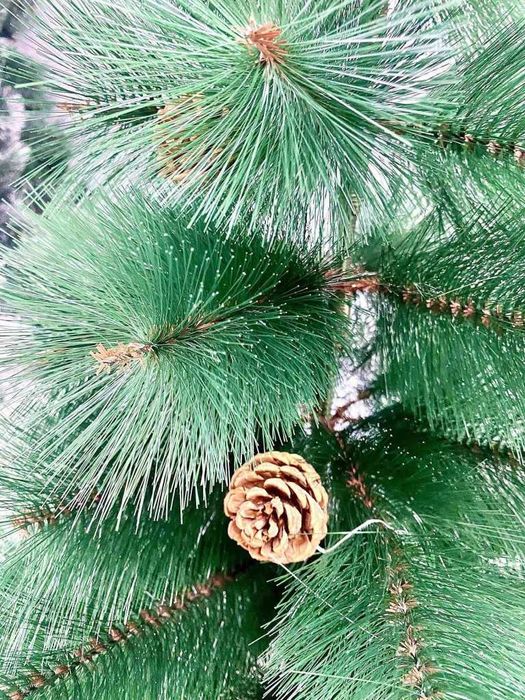 Елха естествено зелена с шишарки