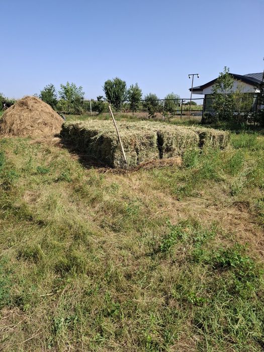 Baloți lucernă producator