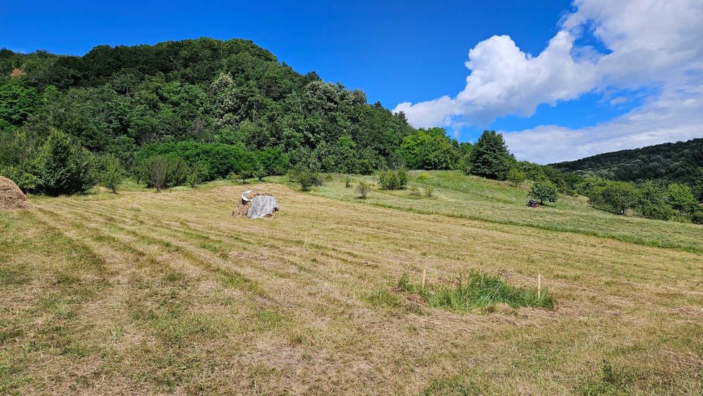 Teren intravilan 3837mp - Vladesti