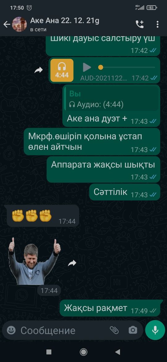 Звукозапись дауыс жазу