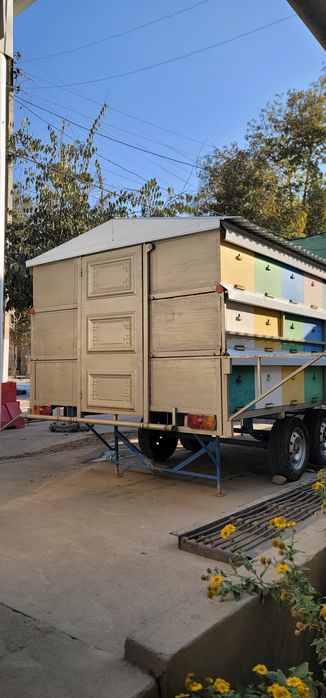 Асал ари вагони сотилади срочно