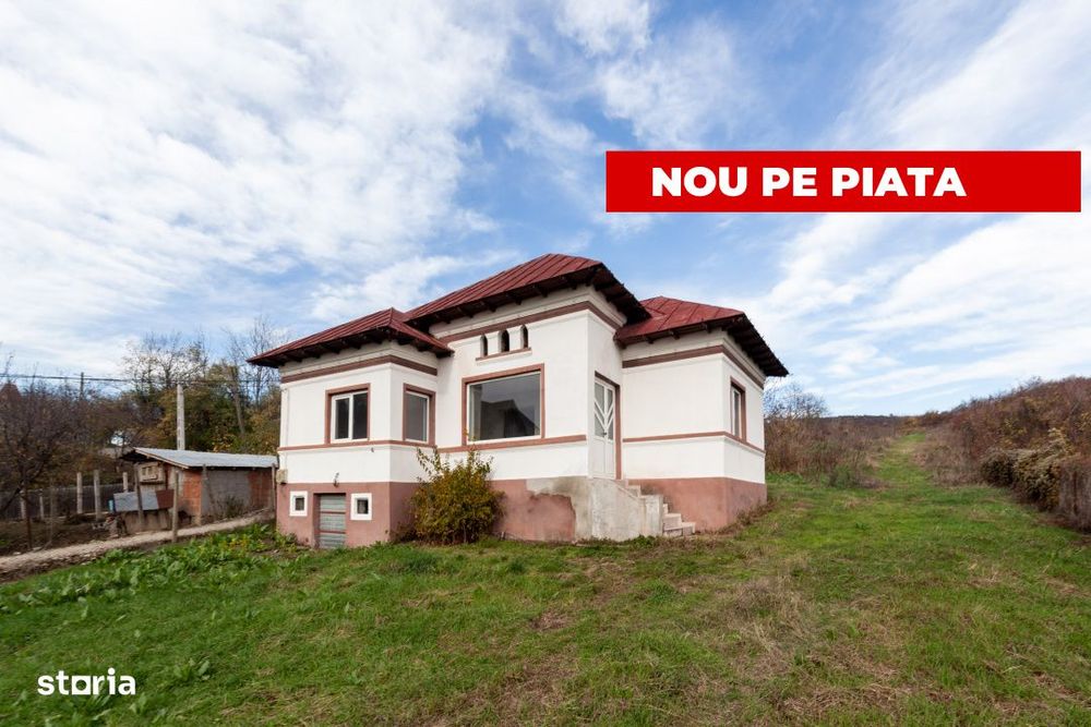 Casa la tara cu teren generos in zona Calinesti-Ciocanesti -Jud. Arges