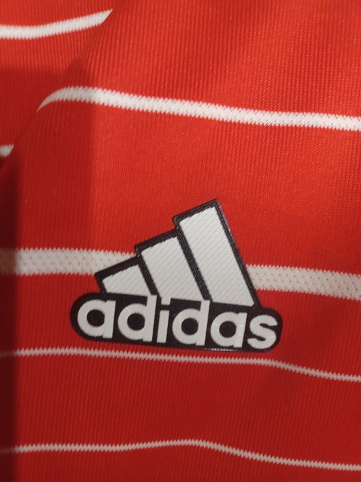 Bayern 2023 authentic