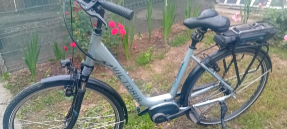 Bicicleta Electrica Motor Bosch Active Line