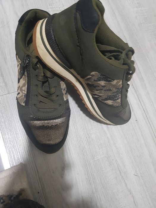 Красовка аелларники