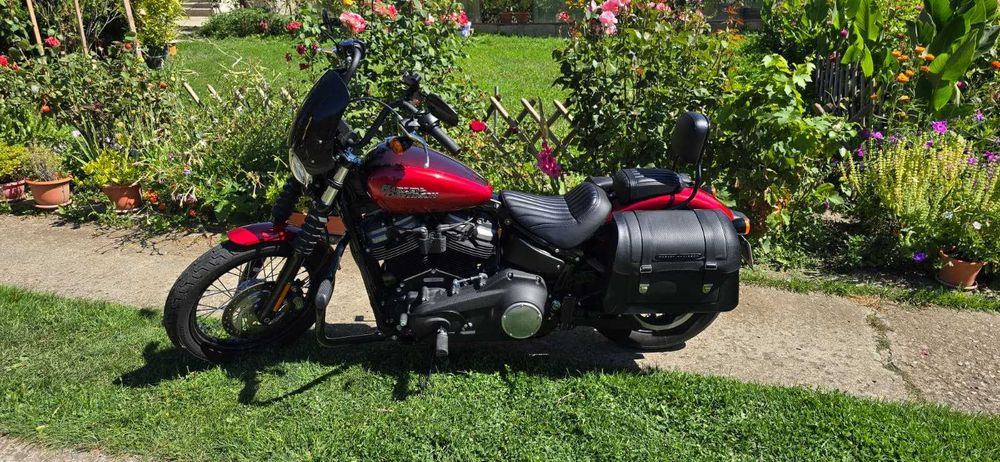 Harley Davidson Street Bob 2019 - ca noua