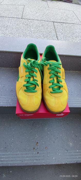 Puma  "Palermo "