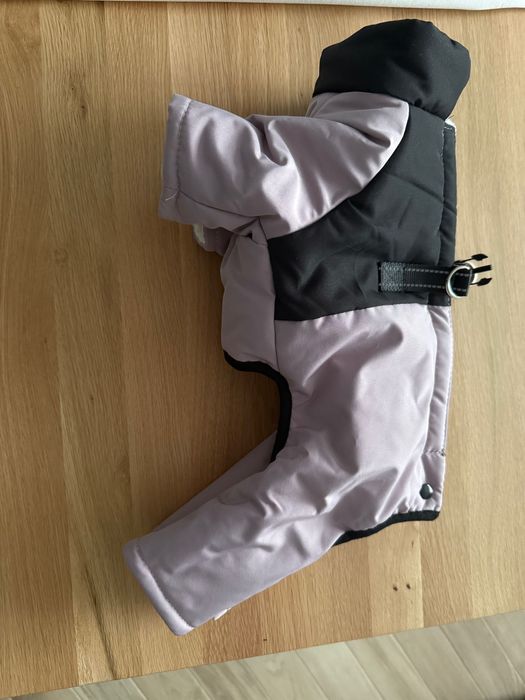 Кучешки гащеризон