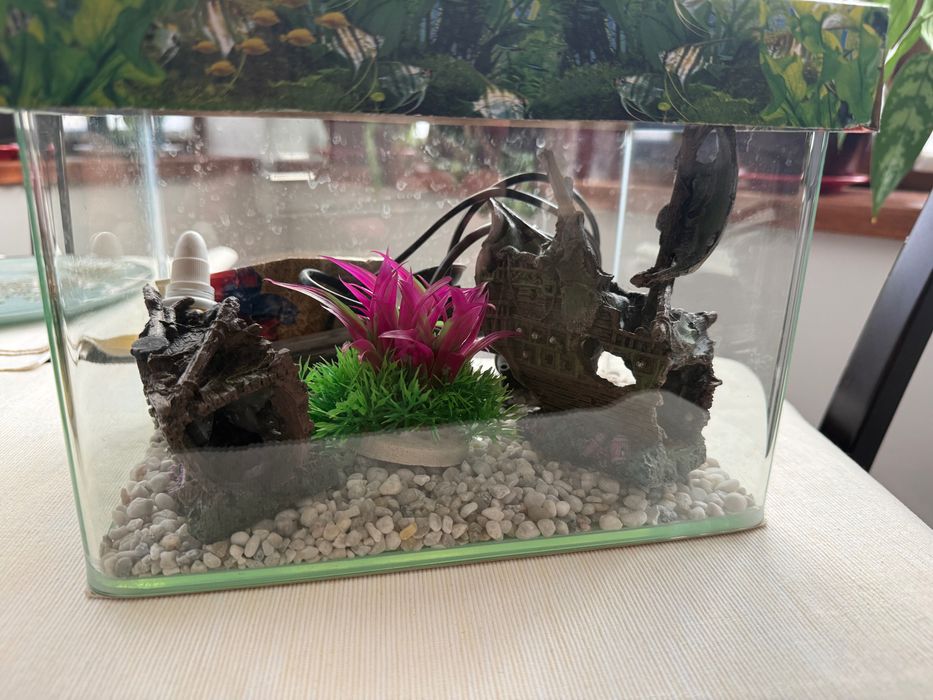 Acvariu mic cu accesorii