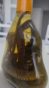Sticla de Vin Vietnamez cobra+scorpion