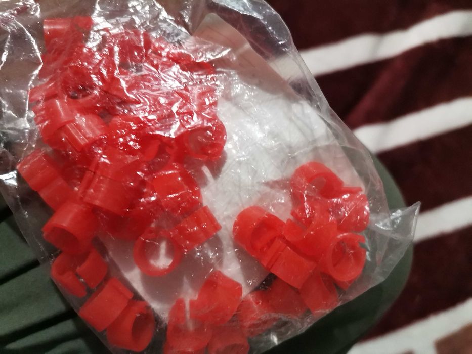 Inele porumbei 2025 sport