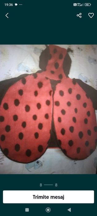 Costumație buburuză