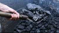 Уголь для шашлыка тандыра