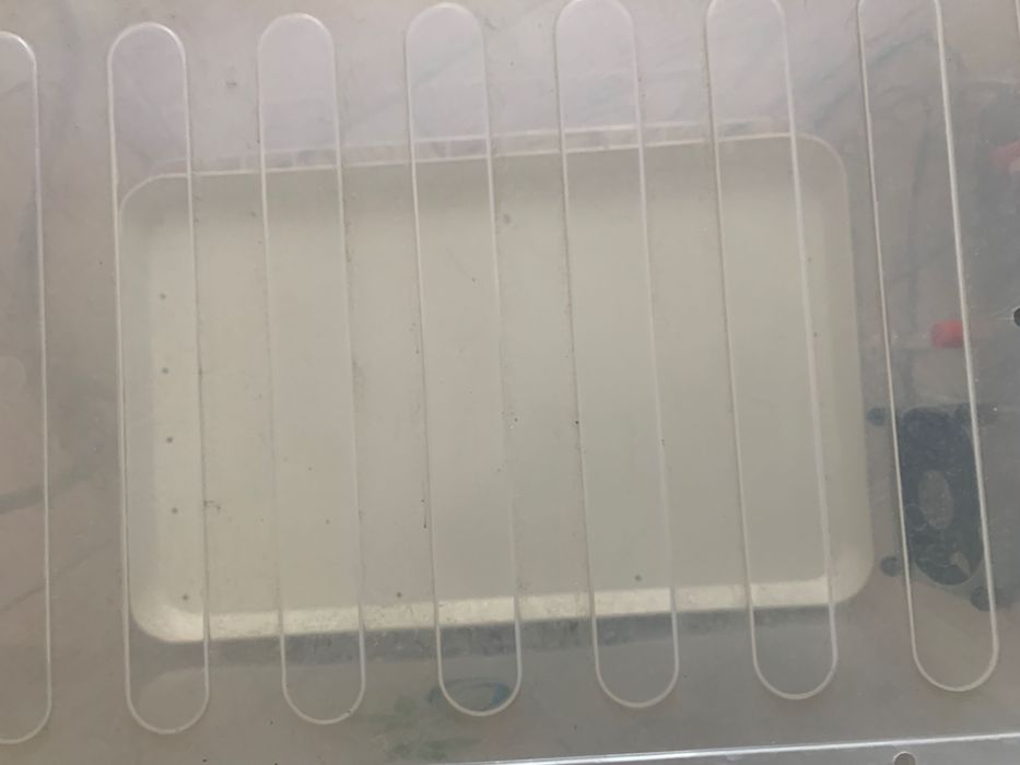 Здравословно! Диетично! Домашно!Автоматична ферма за кълнове