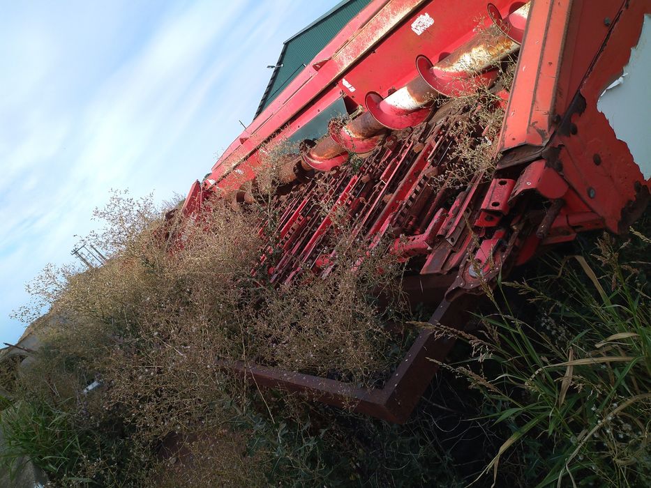 Masa olimac 8 randuri