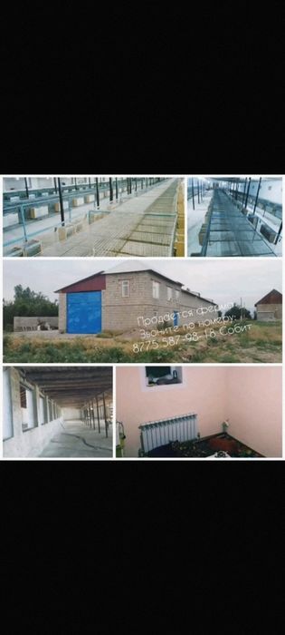 Ферма сатылады Ферма
