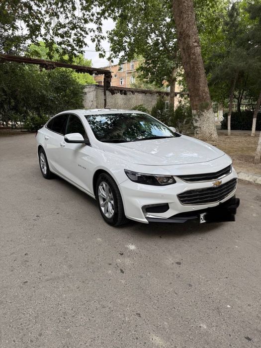 Malibu 2018 yili oq