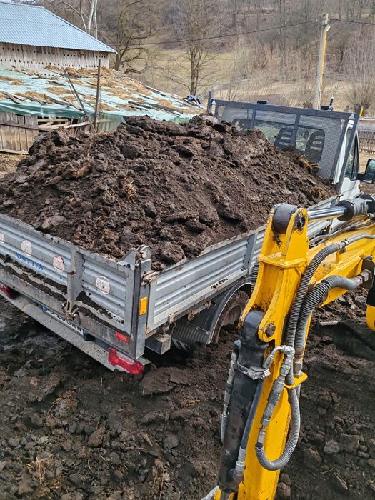 Transport inclus în preț aduc Chisai,balegar, mranita pentru gazon,gra