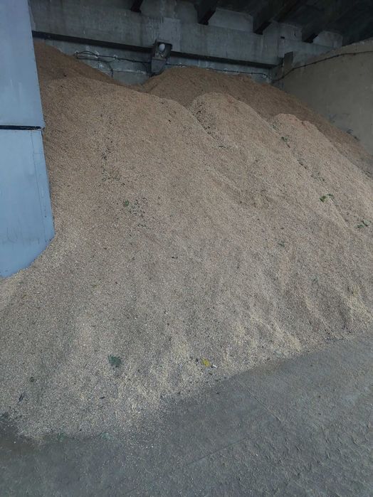 Стърготина дъбова от моторна резачка.