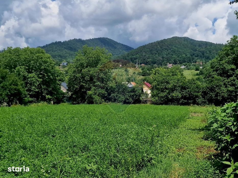 Teren intravilan 1000 mp – Viișoara, utilități