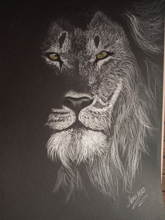 Картины нарисованные белым карандашом на черной бумаге