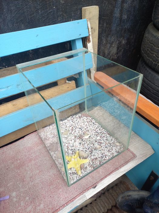 Аквариум литров 8-10