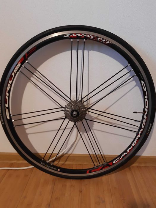 Roti cursiera Campagnolo Eurus 2 way fit