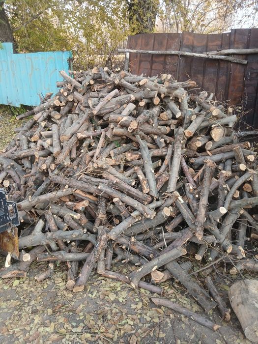 продам дрова от яблони